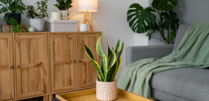 bonnes habitudes pour créer un intérieur propice